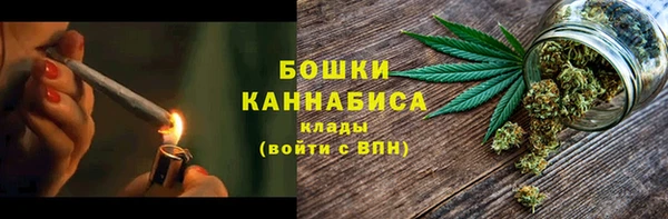 дмт Бородино