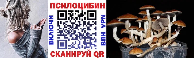 наркотики  Рыбинск  KRAKEN онион  Псилоцибиновые грибы ЛСД 
